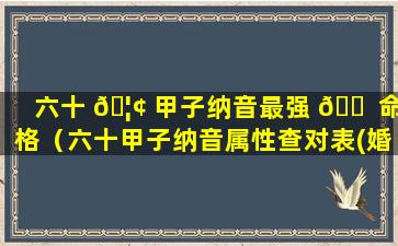 六十 🦢 甲子纳音最强 🐠 命格（六十甲子纳音属性查对表(婚配)）